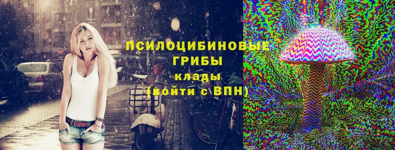 Галлюциногенные грибы Magic Shrooms  Дегтярск 